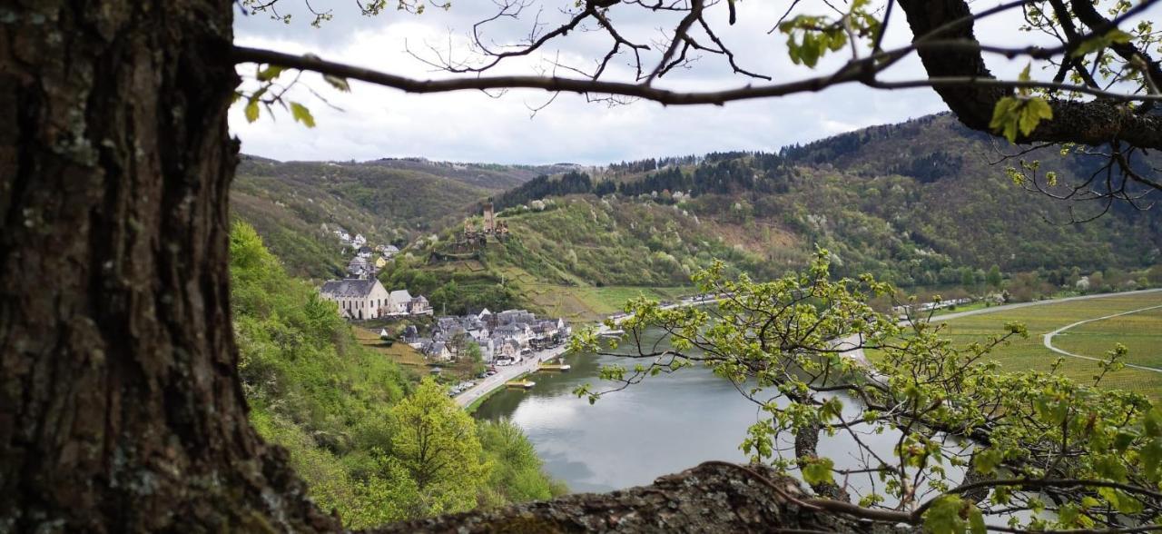 Ferienwohnungen Am Bruttiger Moselsteig Esterno foto