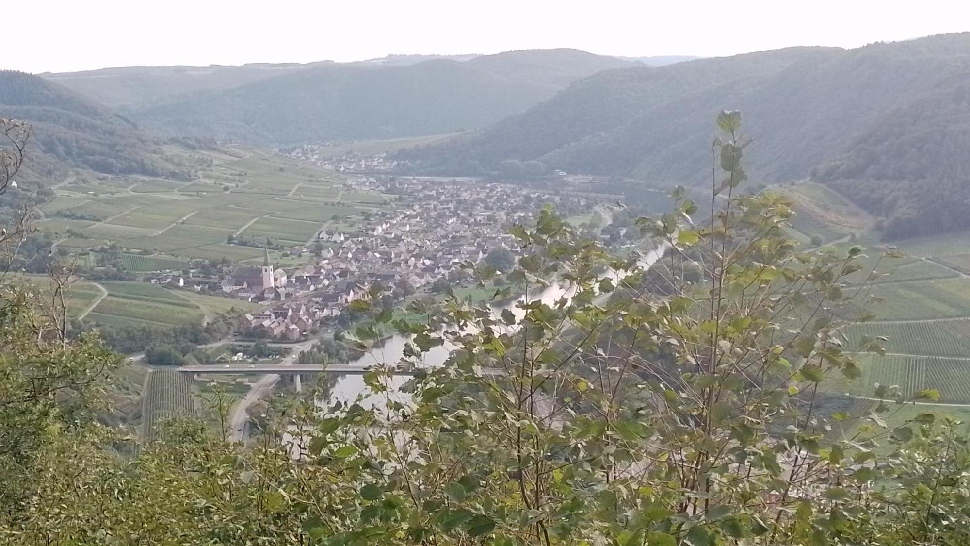 Ferienwohnungen Am Bruttiger Moselsteig Esterno foto