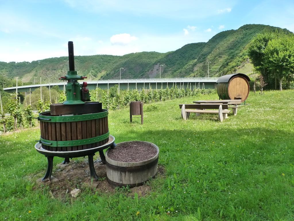 Ferienwohnungen Am Bruttiger Moselsteig Camera foto