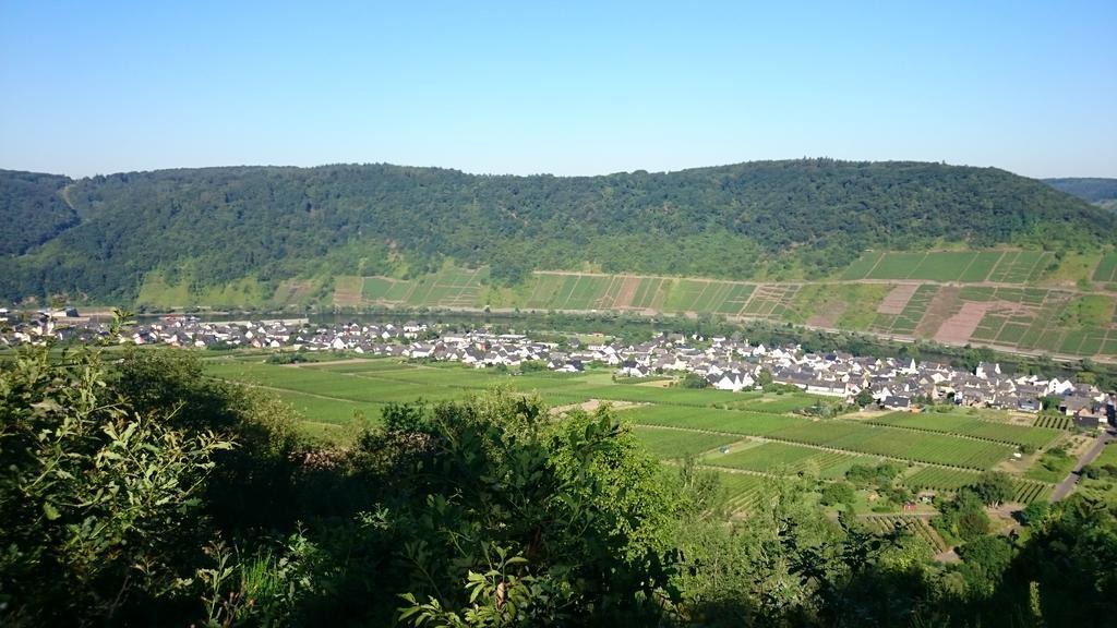 Ferienwohnungen Am Bruttiger Moselsteig Esterno foto