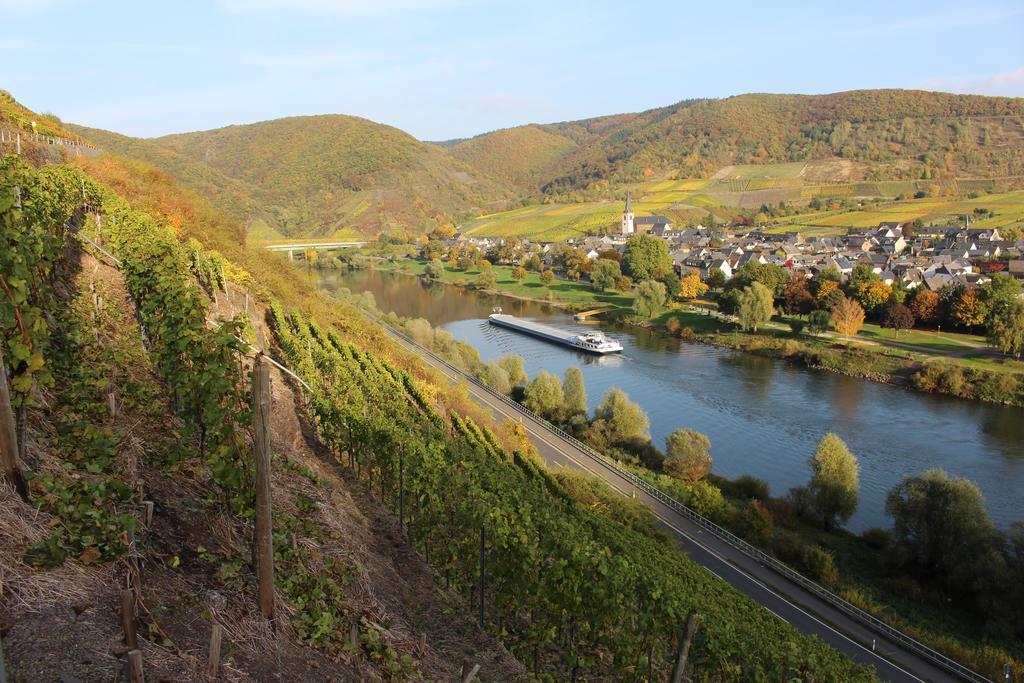 Ferienwohnungen Am Bruttiger Moselsteig Esterno foto