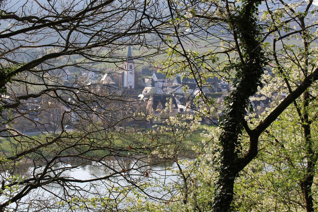 Ferienwohnungen Am Bruttiger Moselsteig Esterno foto
