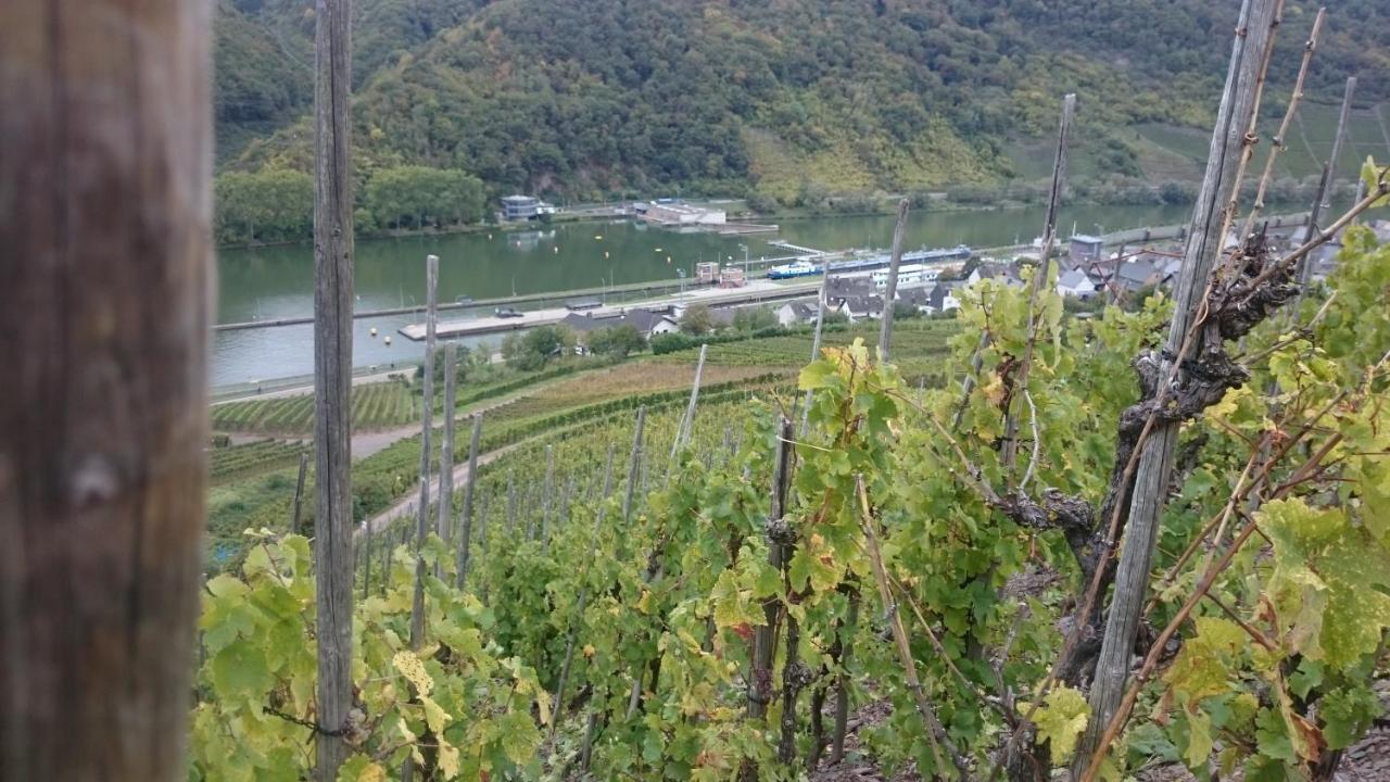 Ferienwohnungen Am Bruttiger Moselsteig Esterno foto